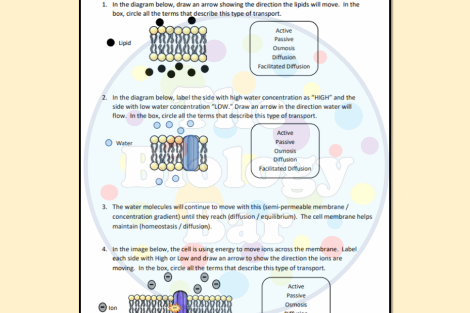 Cell Transport Worksheet