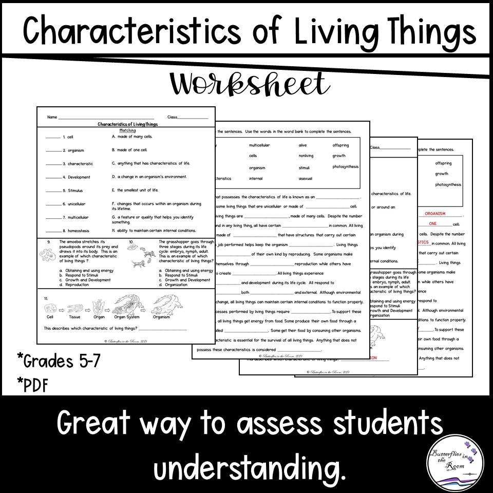 characteristics of life worksheet