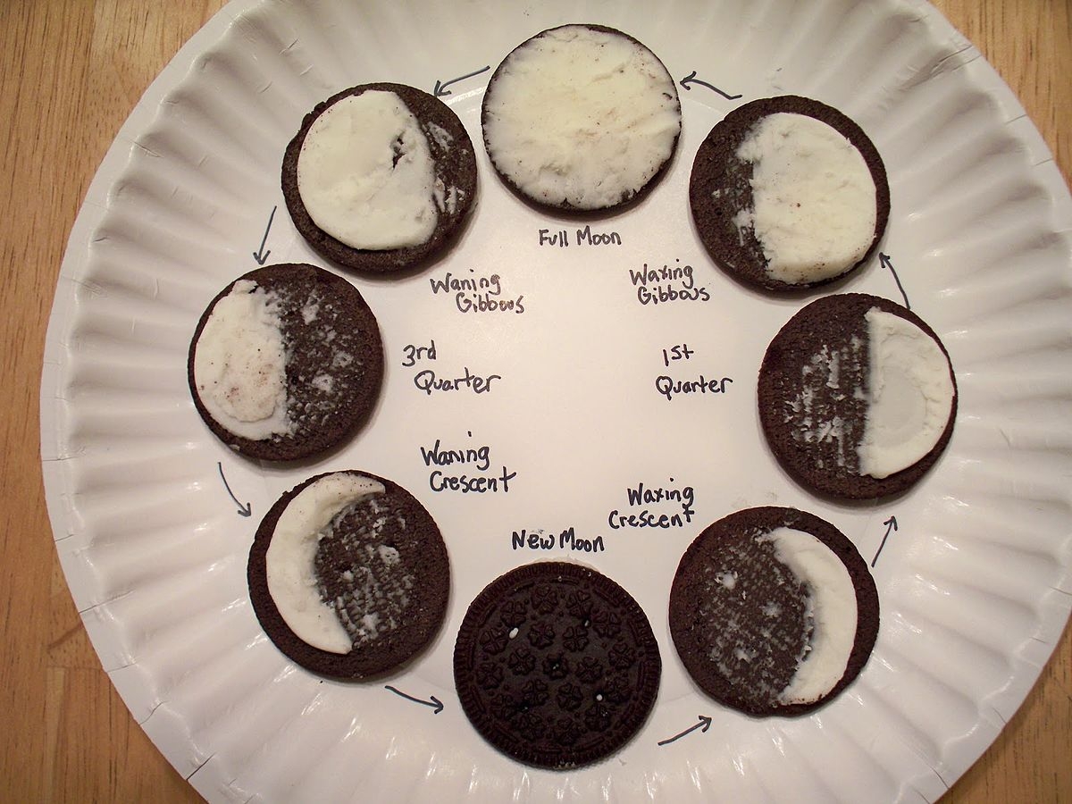 phases of the moon oreo worksheet