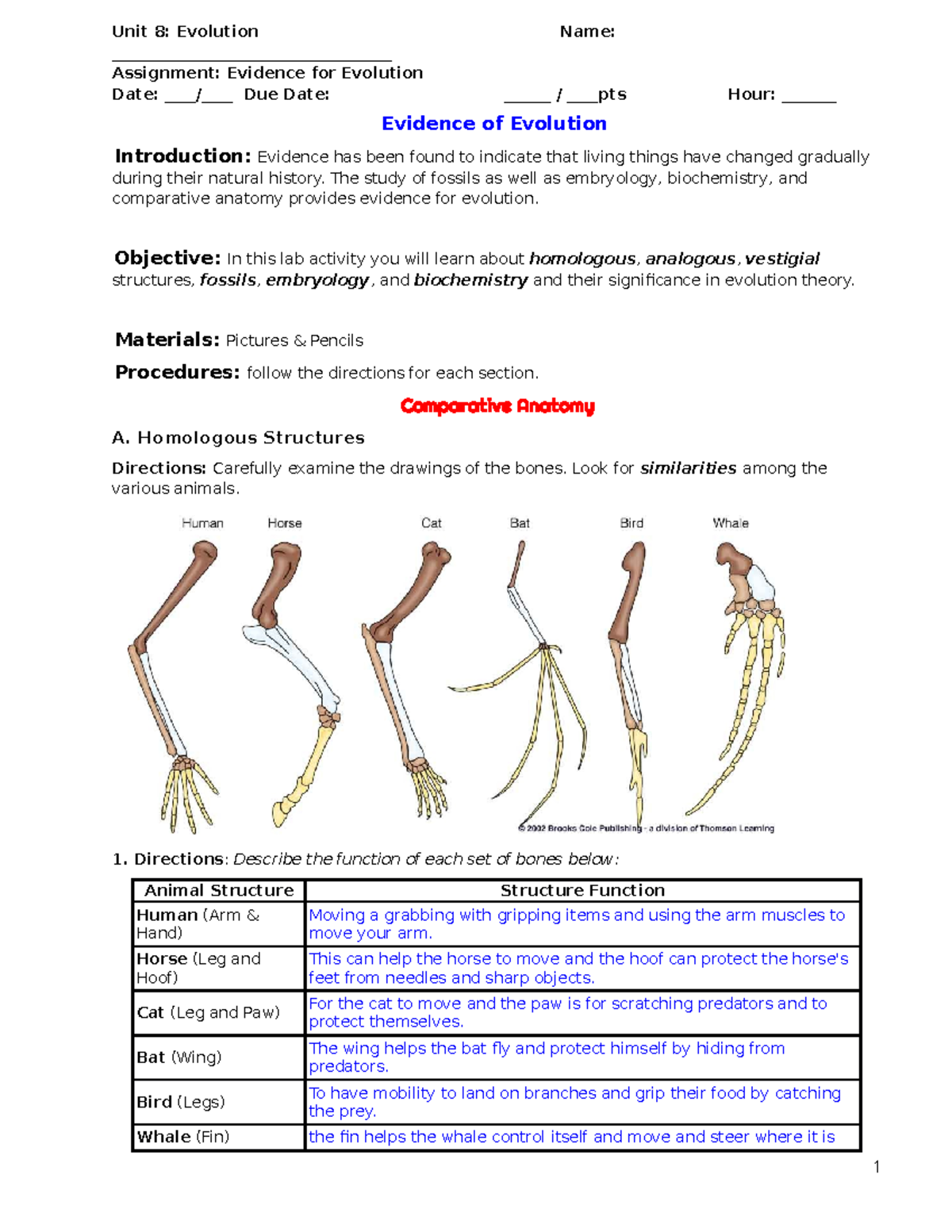 Copy Of Evidence Of Evolution Assignment Evidence For Studocu