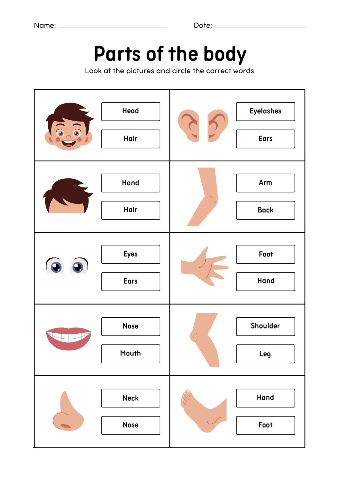 Customize 72 Body Parts Worksheets Templates Online Canva