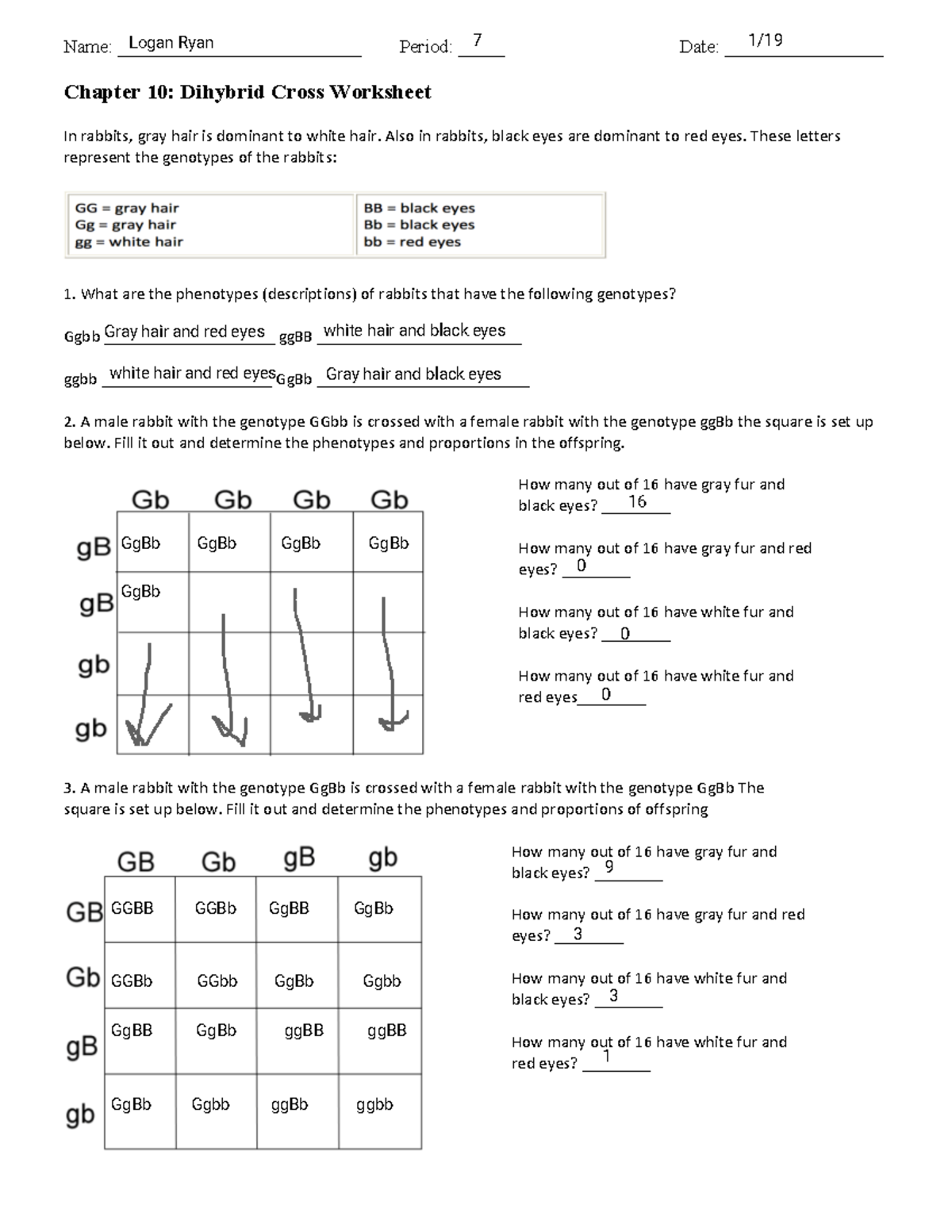 Dihybrid Cross Worksheet Biology 101 Logan Ryan Part 1 Studocu