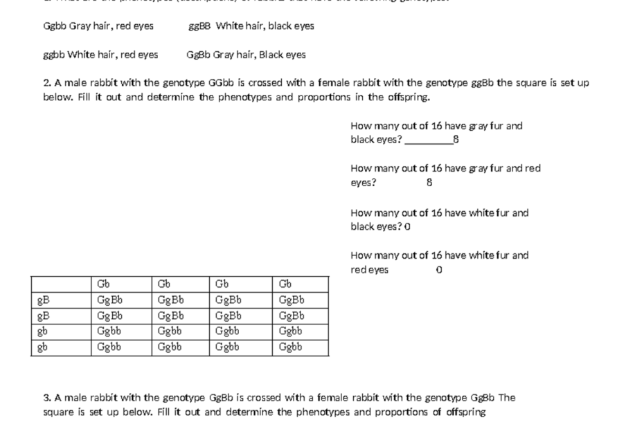 Dihybrid Crosses Worksheet U0026 Practice Problems Ch 10 Studocu