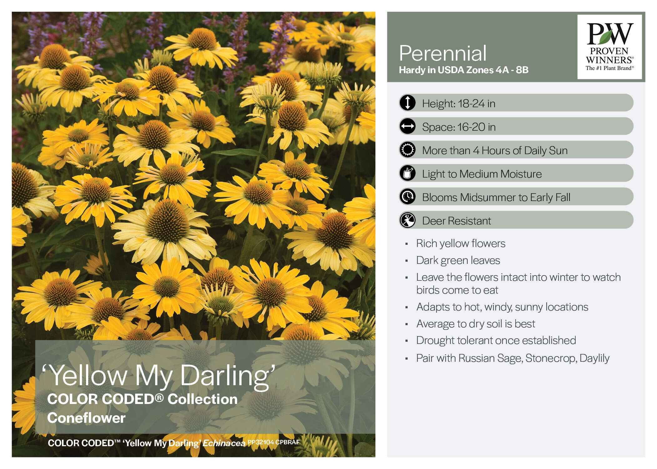 Display Cards By MasterTag Walters Gardens Inc 