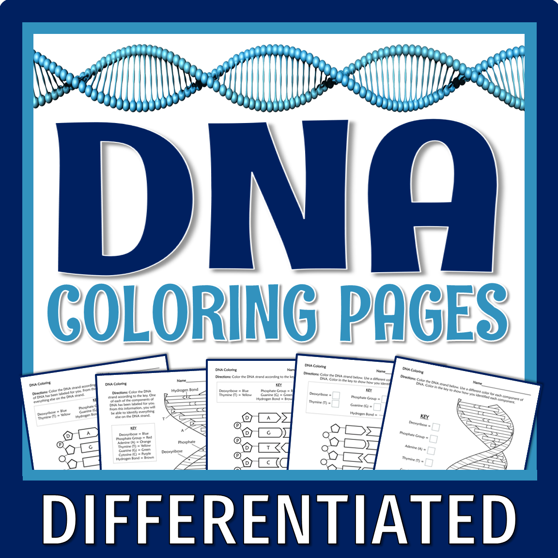 DNA Coloring Worksheet Flying Colors Science