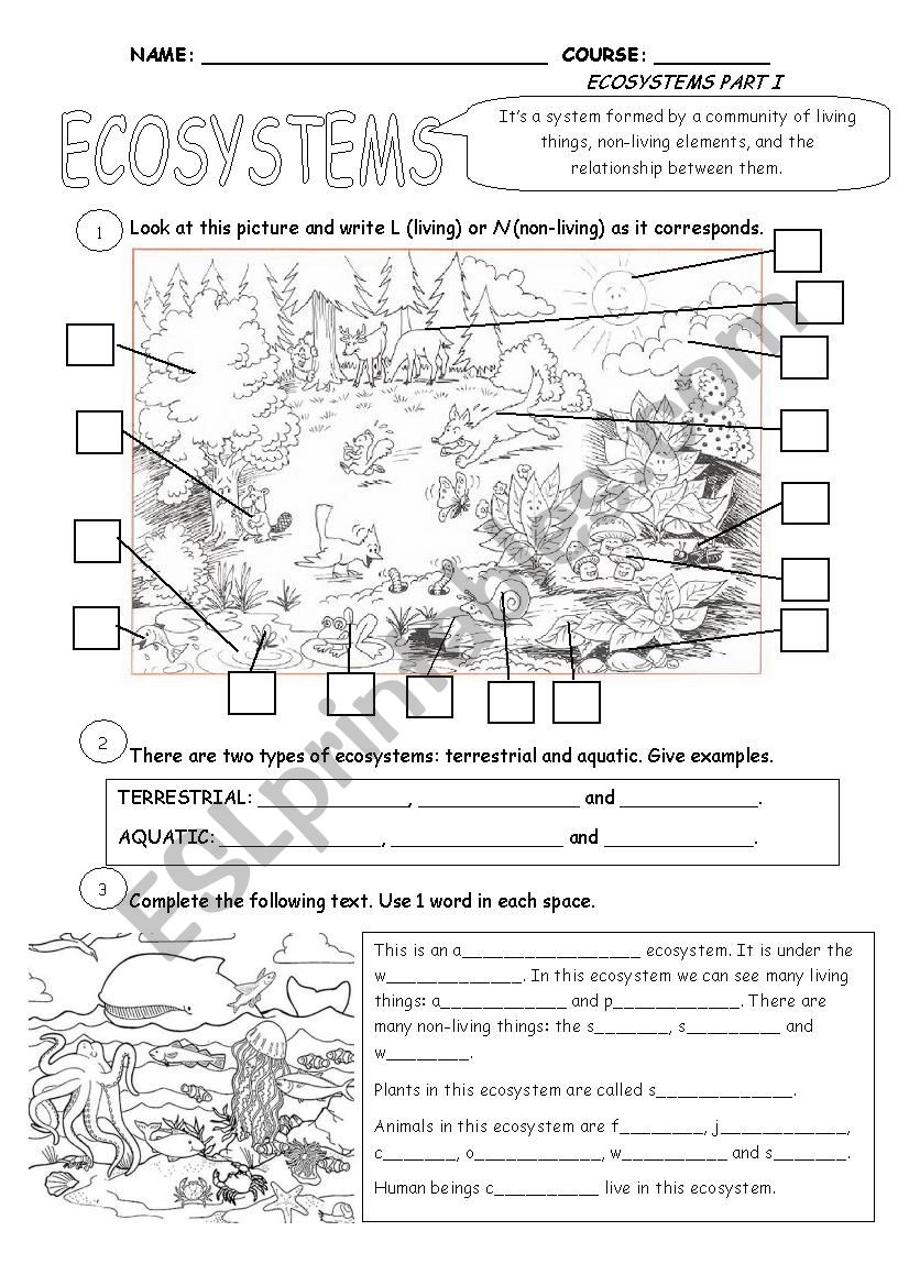 Ecosystems Part 1 ESL Worksheet By Cristina84