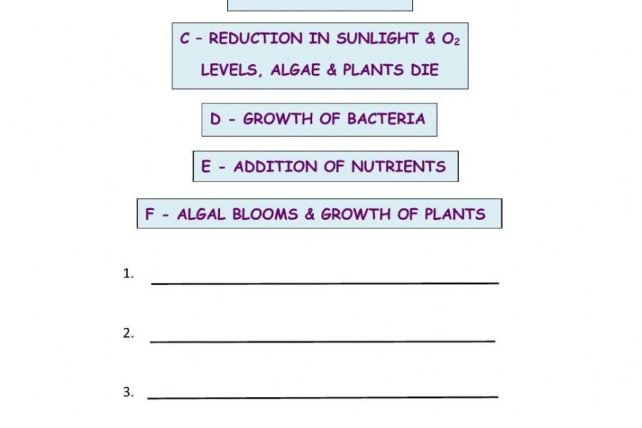Eutrophication Stages Worksheet Live Worksheets Worksheets Library