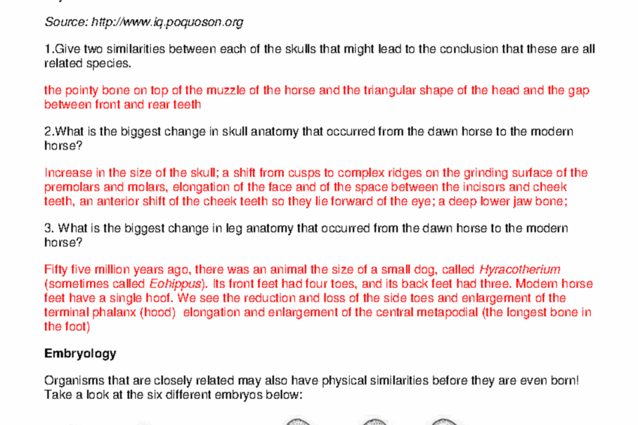 Evidence Of Evolution Answers Evidence Of Evolution Answers In