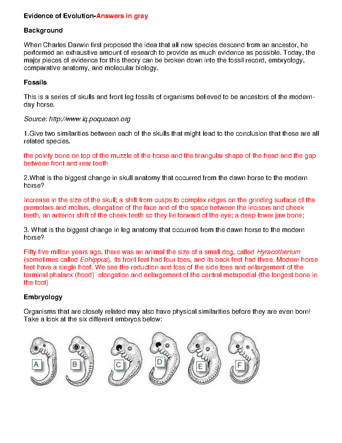 Evidence Of Evolution Answers Evidence Of Evolution Answers In 