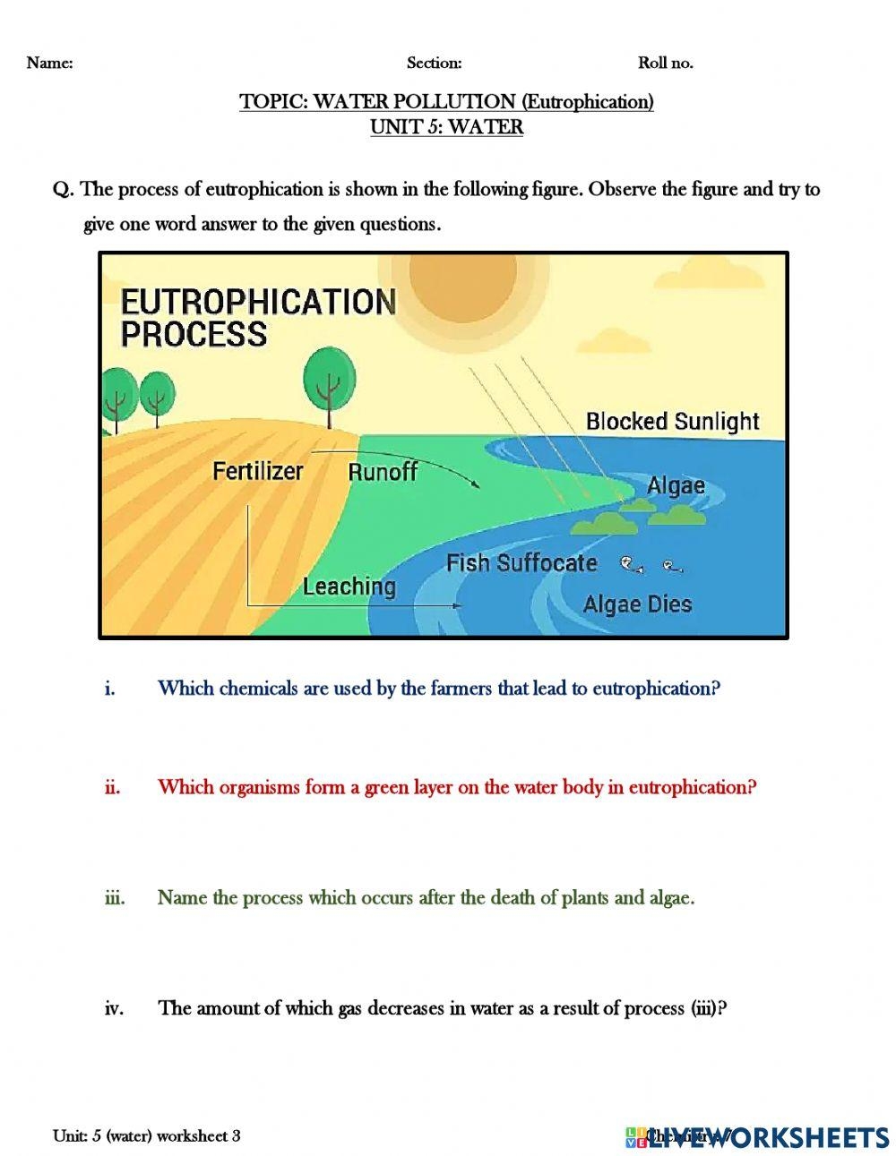 Free Eutrophication Worksheet Download Free Eutrophication Worksheet Png Images Free Worksheets On Clipart Library