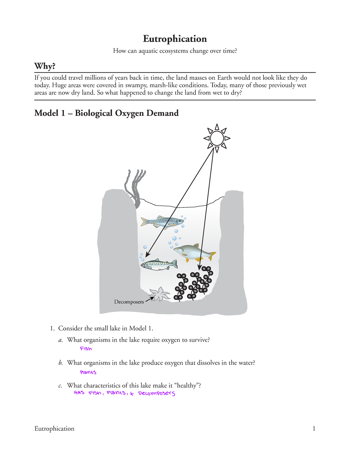 eutrophication secondary extinction worksheet