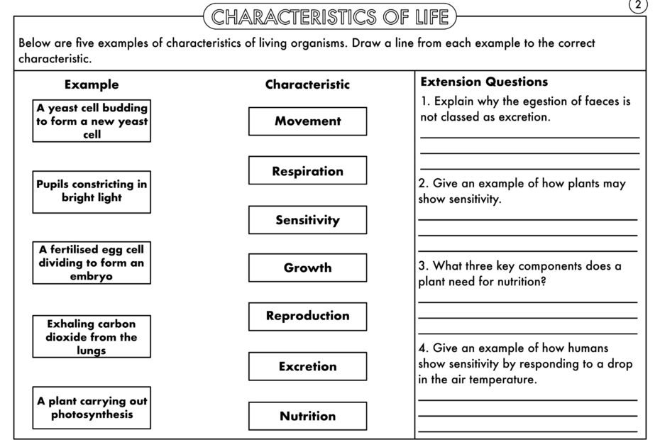 GCSE Biology Characteristics Of Life MRS GREN Worksheet Pack Teaching Resources