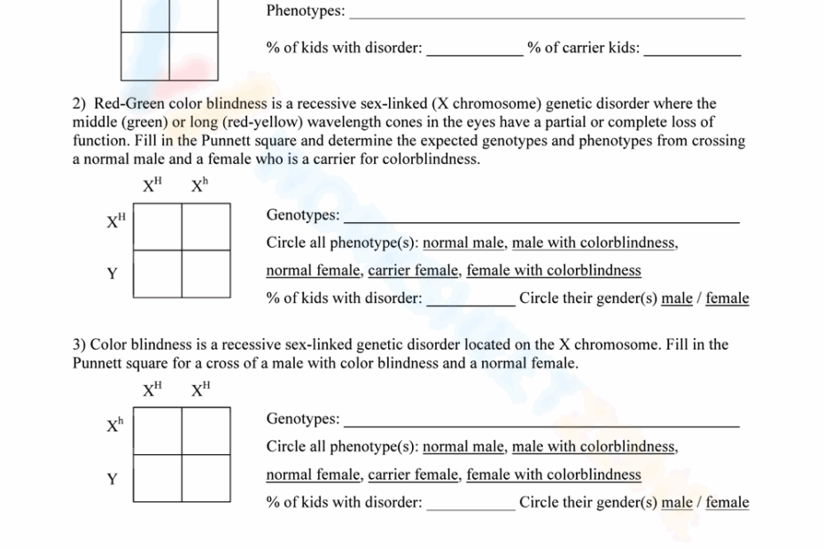 Grade 12 Sexlinked Traits Worksheets