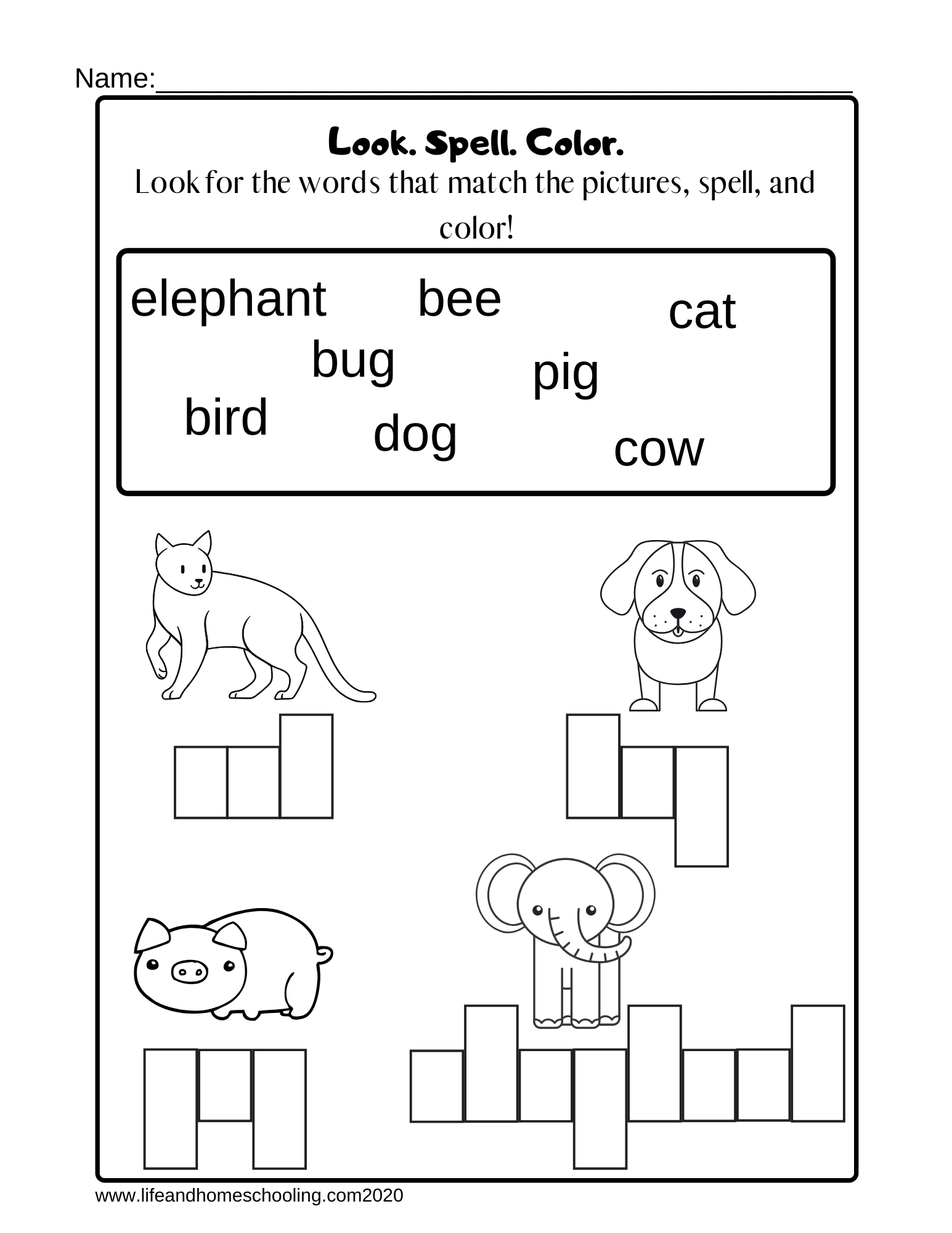 fun spelling worksheets