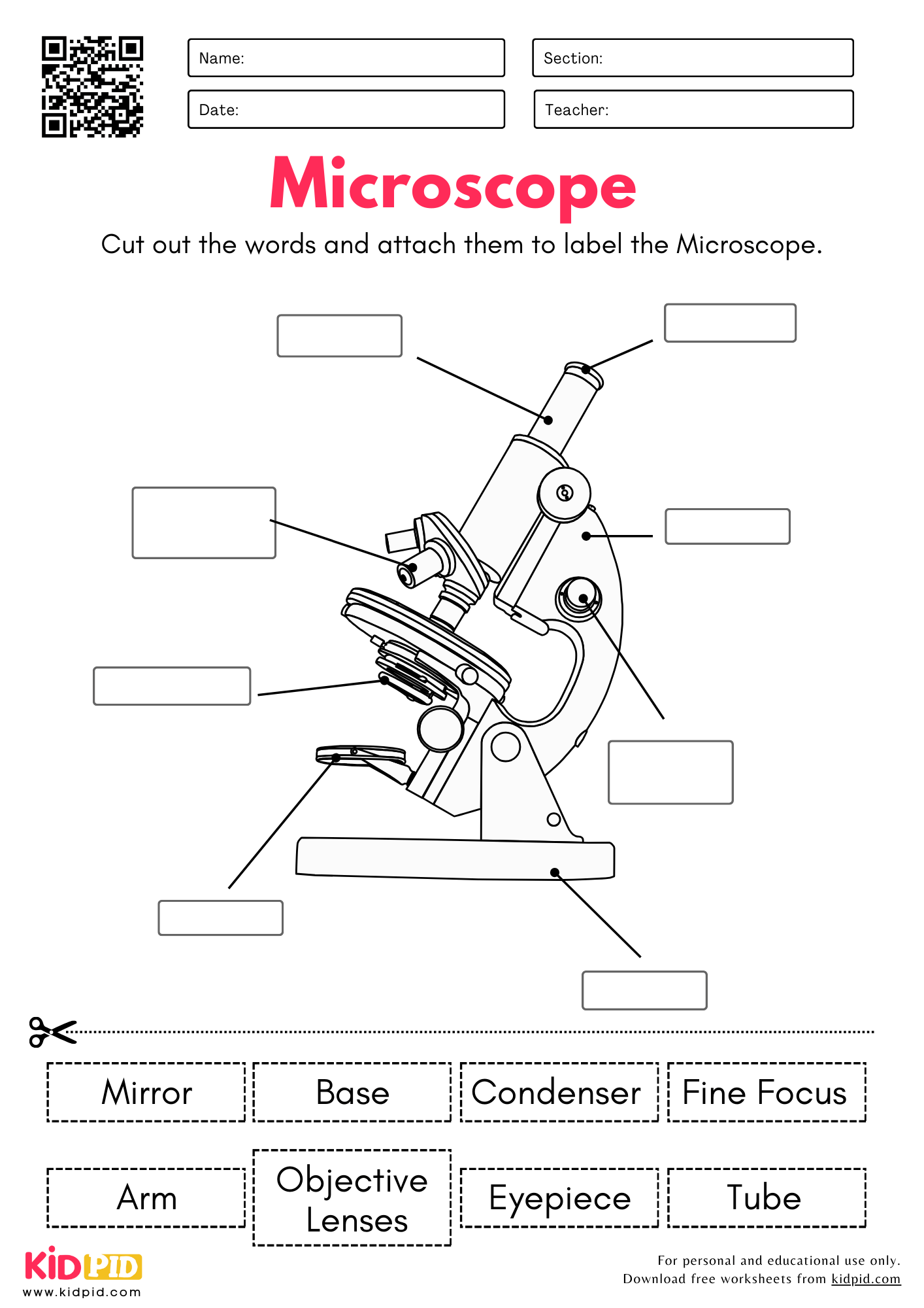 microscope labeling worksheet