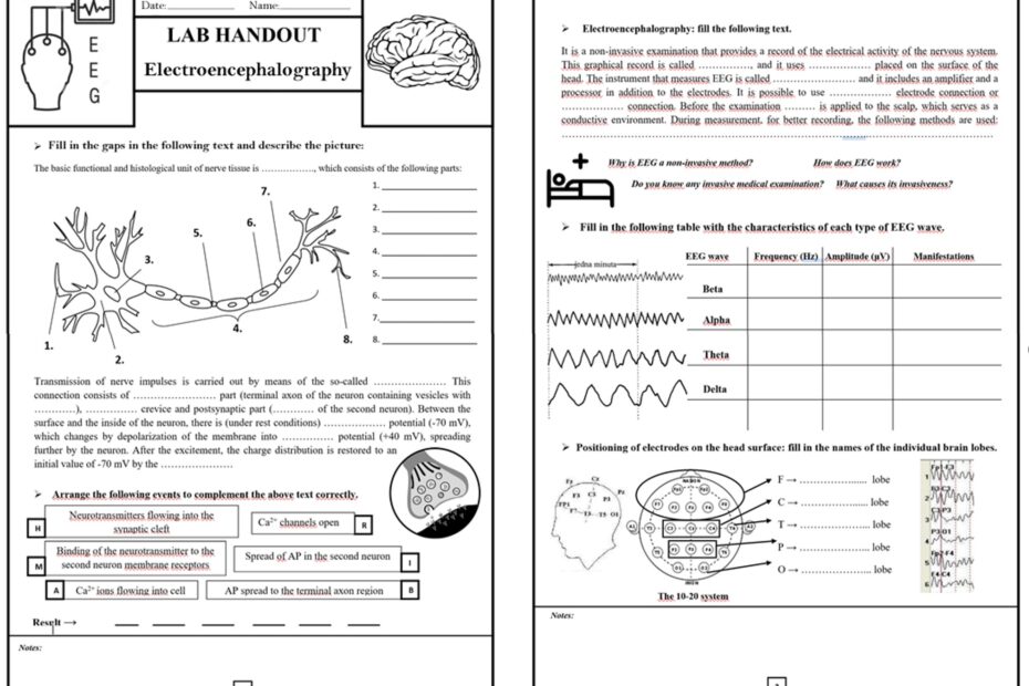 Low Cost Electroencephalography Device For Use In Biophysics Teaching