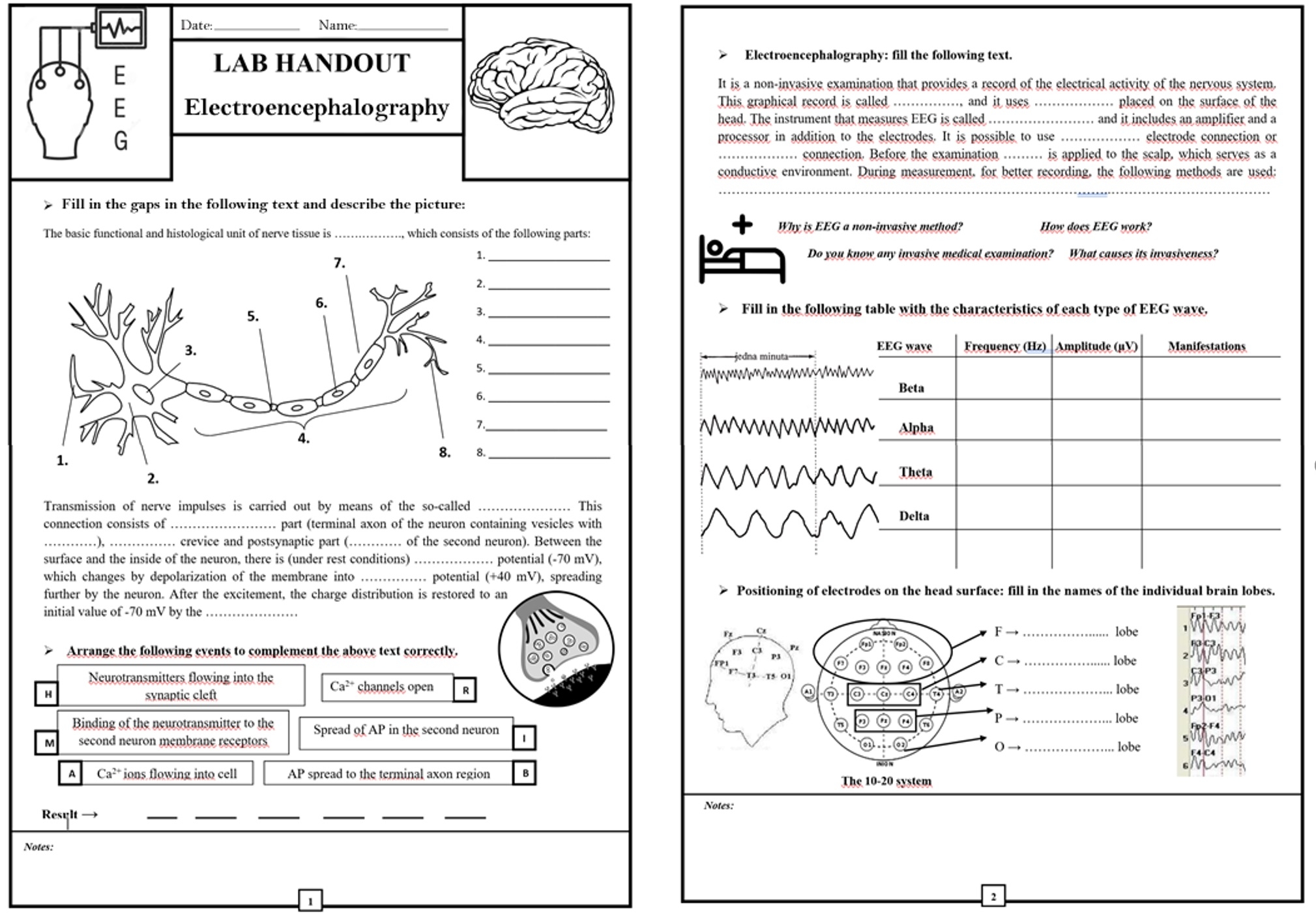 Low Cost Electroencephalography Device For Use In Biophysics Teaching