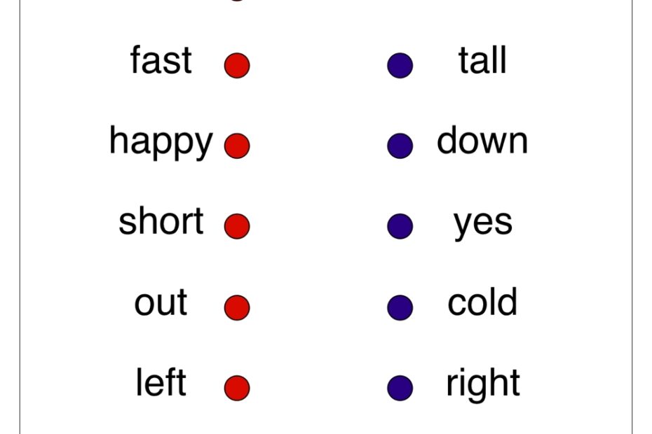 Matching Opposites Worksheet Have Fun Teaching