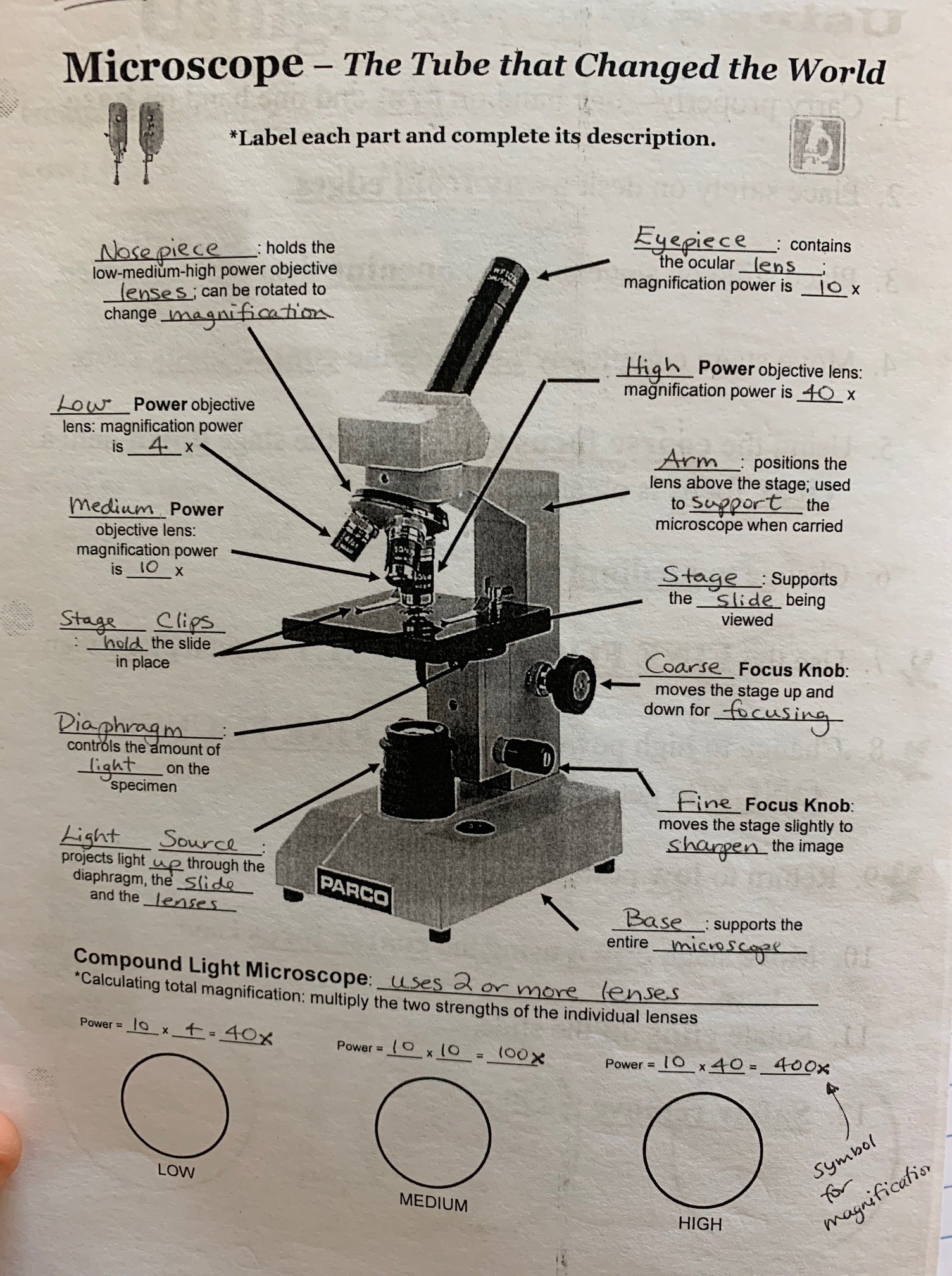 Microscope Parts And Functions 607 Plays Quizizz Worksheets Library