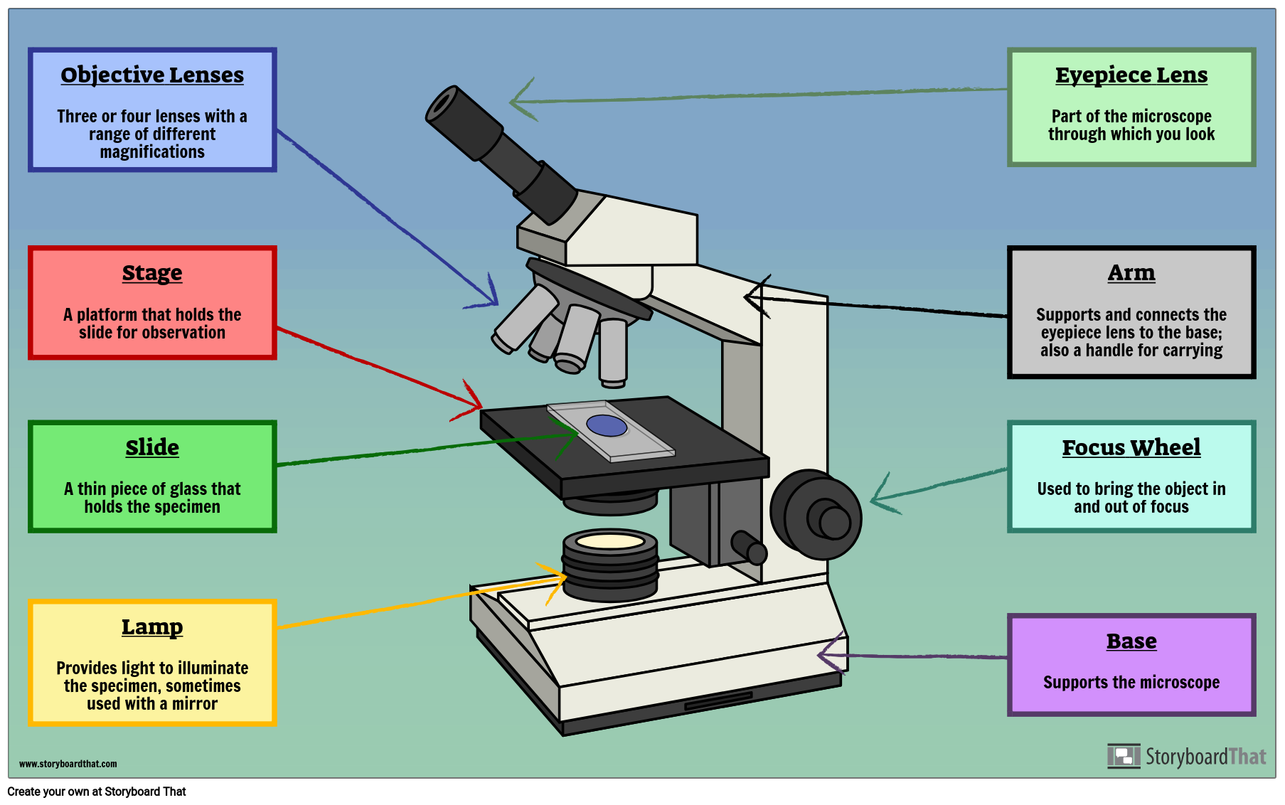 Microscope Parts Labeling Biology Activity For Students
