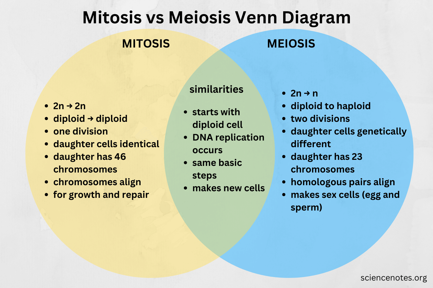 mitosis versus meiosis worksheet