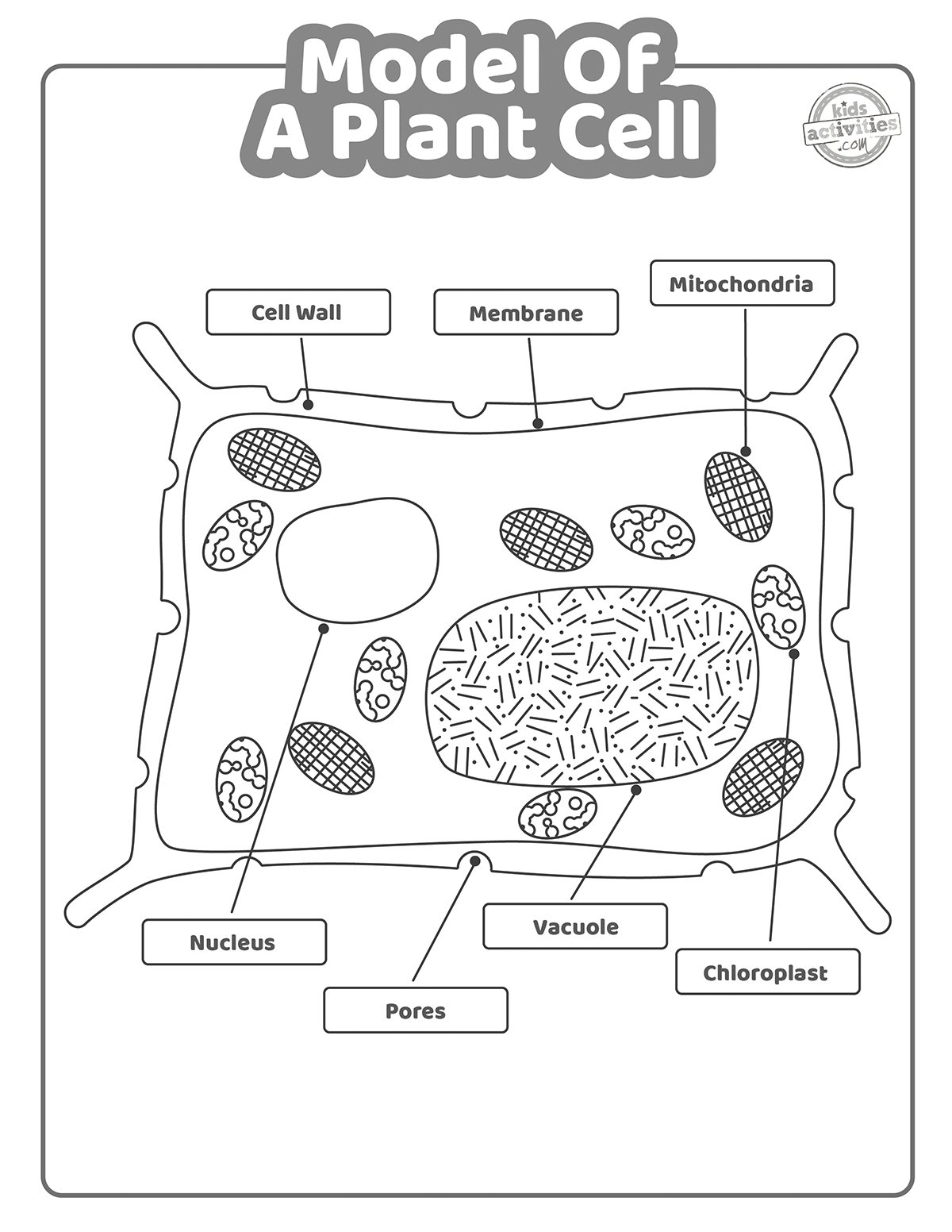 Model Of A Plant Cell Worksheet U0026 Coloring Pages Kids Activities Blog