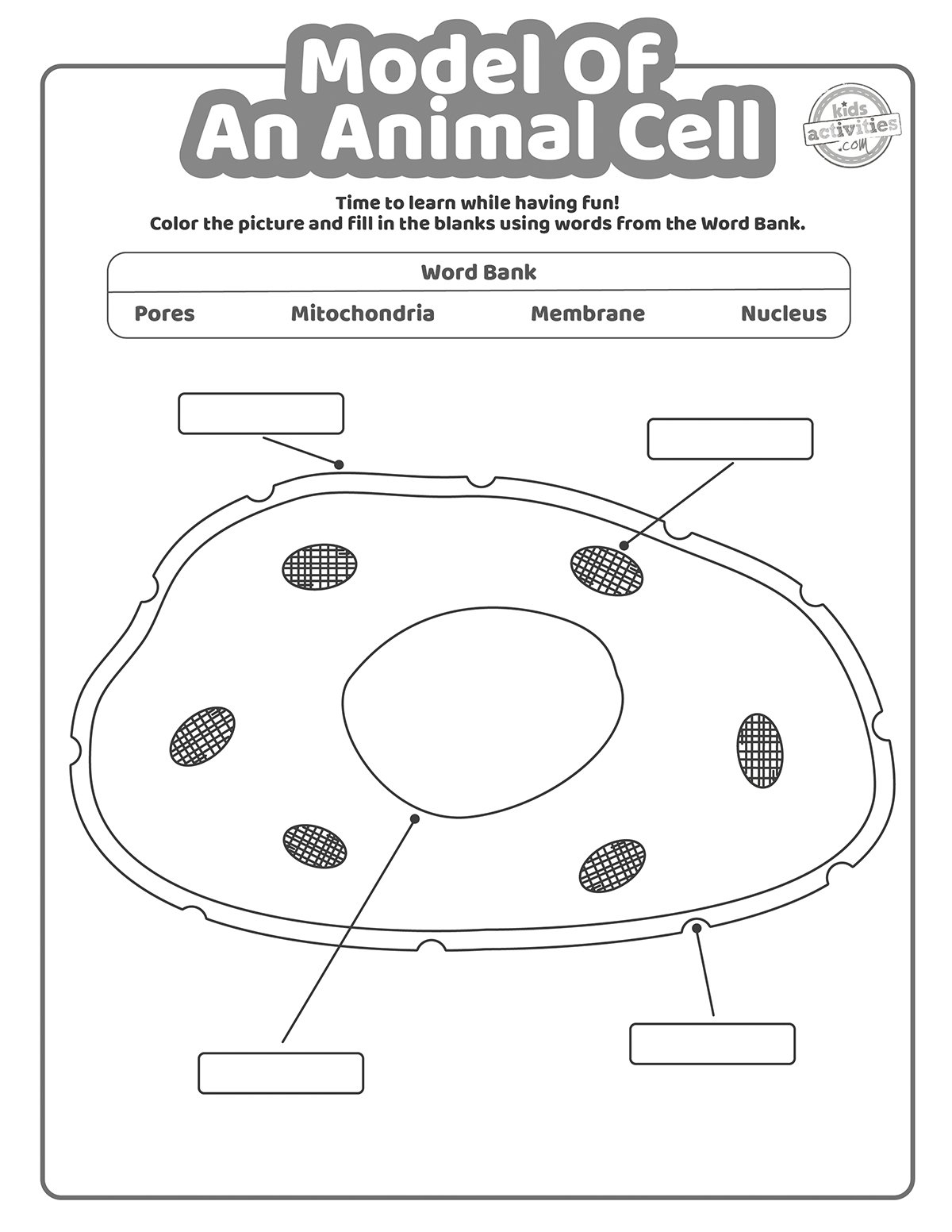 cell worksheet