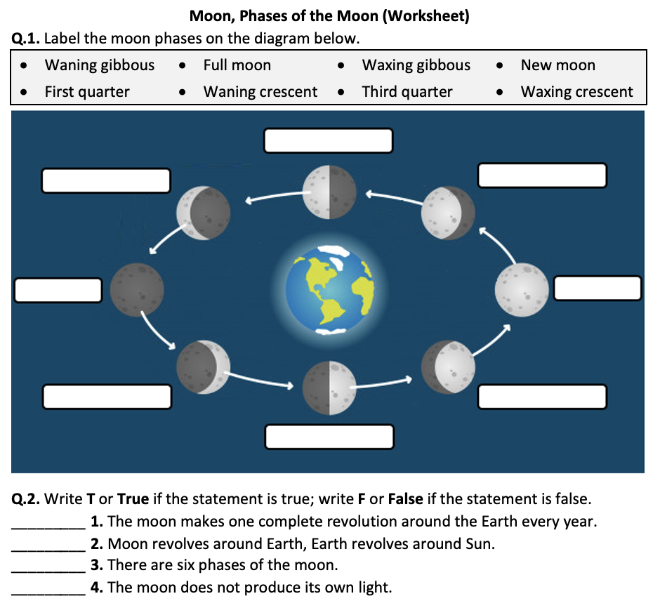 moon phase worksheet