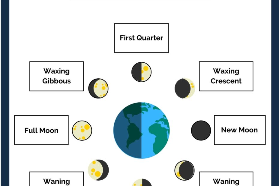 Moon Phases Science Worksheet Lunar Cycle Worksheet Lunar Cycle Activity Moon Phase Printable Lunar Phase Worksheet Kids Science Printable Etsy