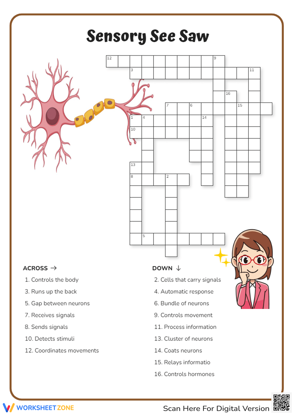 printable nervous system worksheet pdf