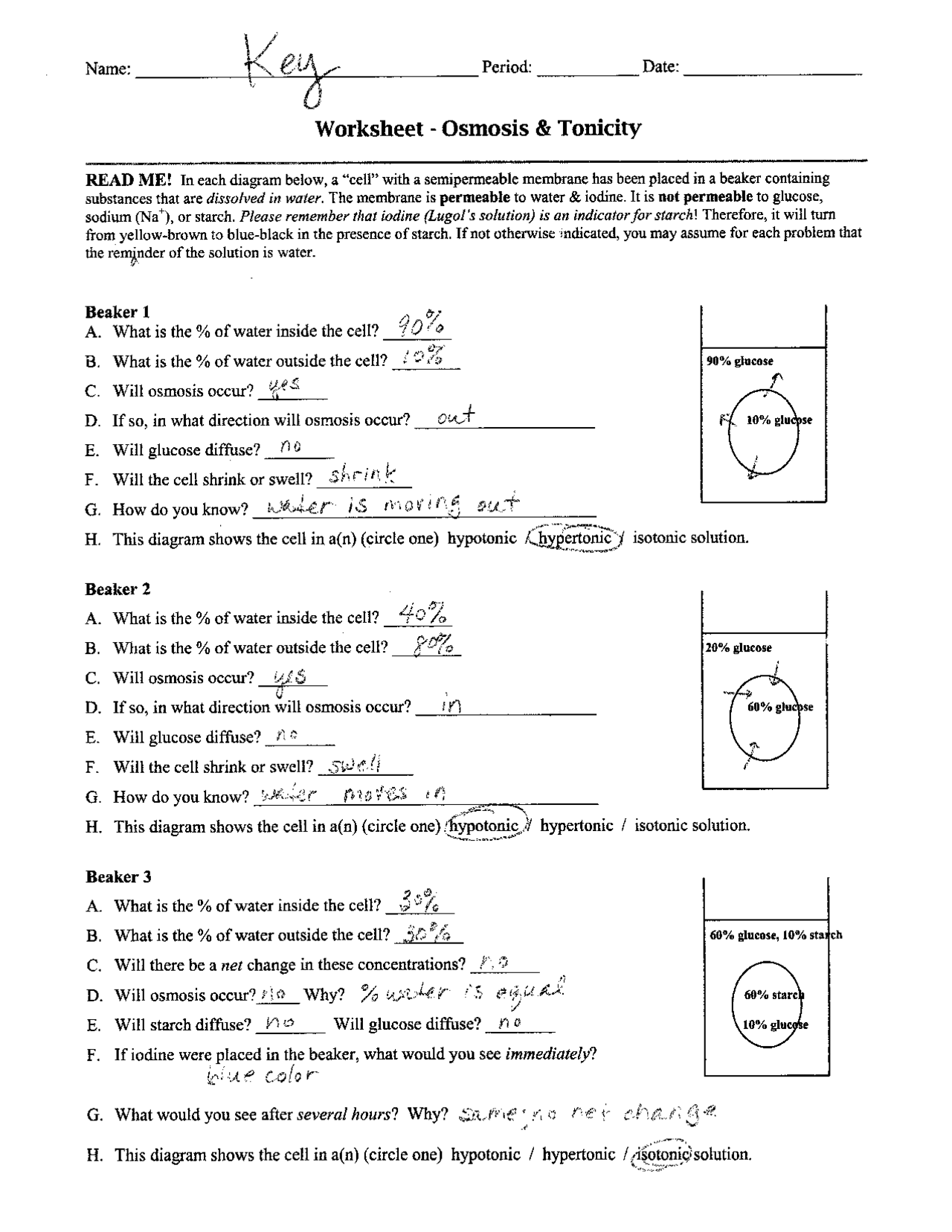 osmosis worksheet answer key