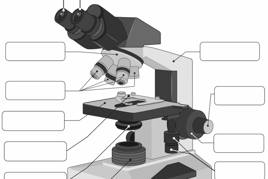 Parts Of The Microscope Worksheet BioRender Science Templates