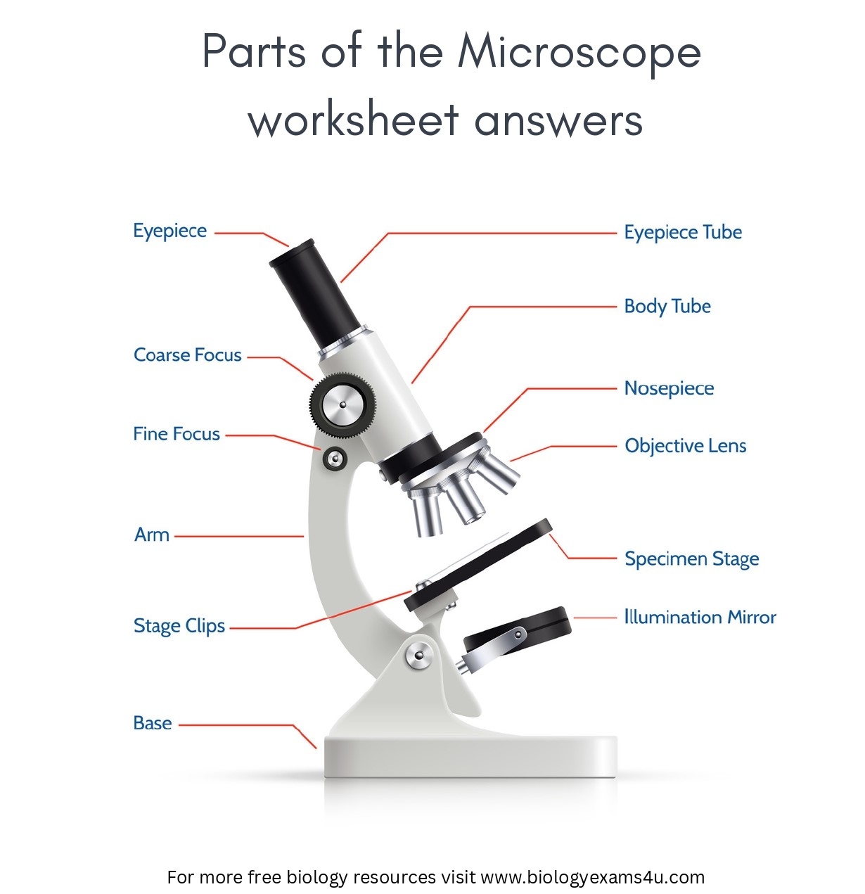 Parts Of The Microscope Worksheet With Answers Biology Worksheet