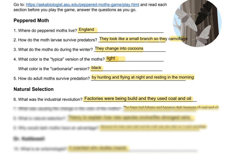 Peppered Moths Simulation Ask A Biologist Worksheets Library