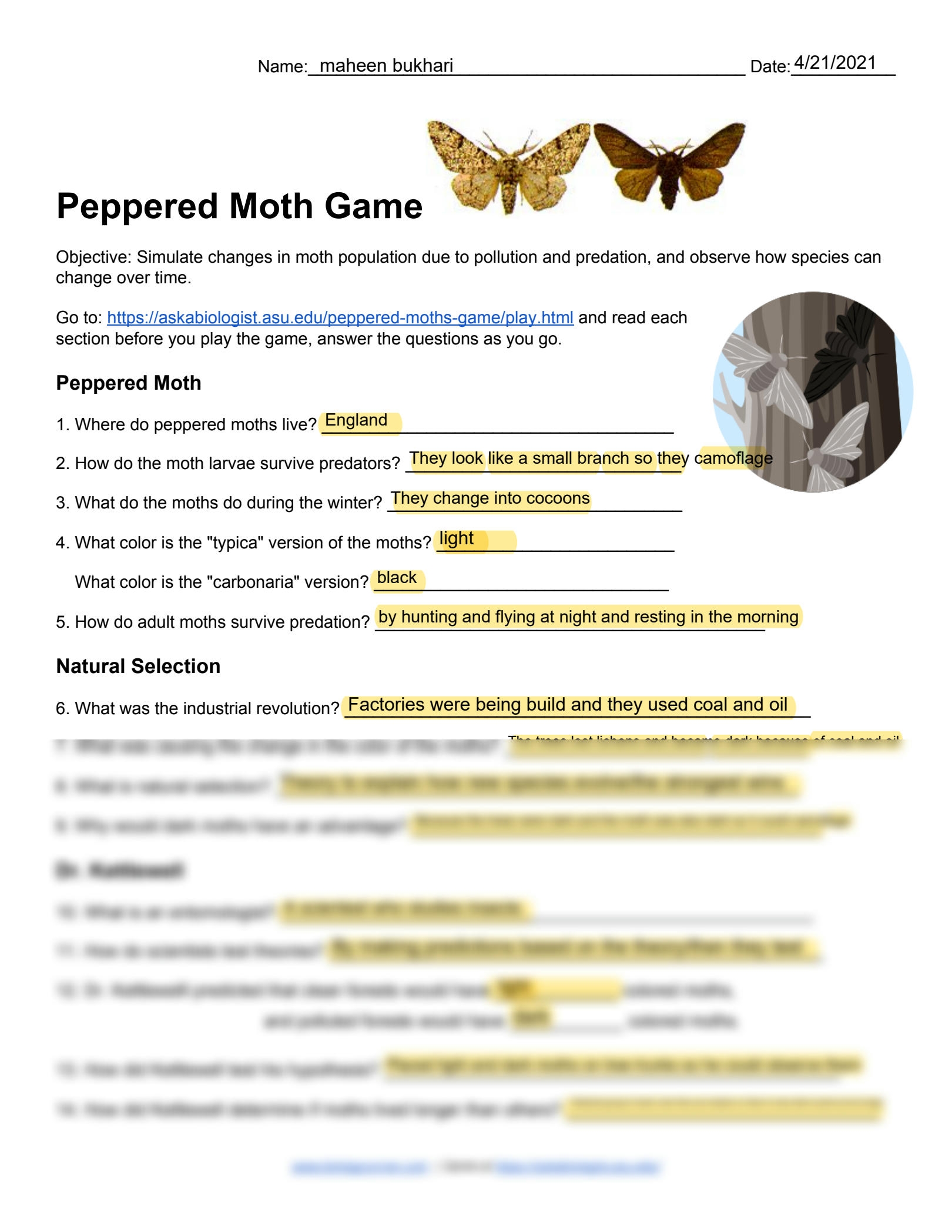 Peppered Moths Simulation Ask A Biologist Worksheets Library