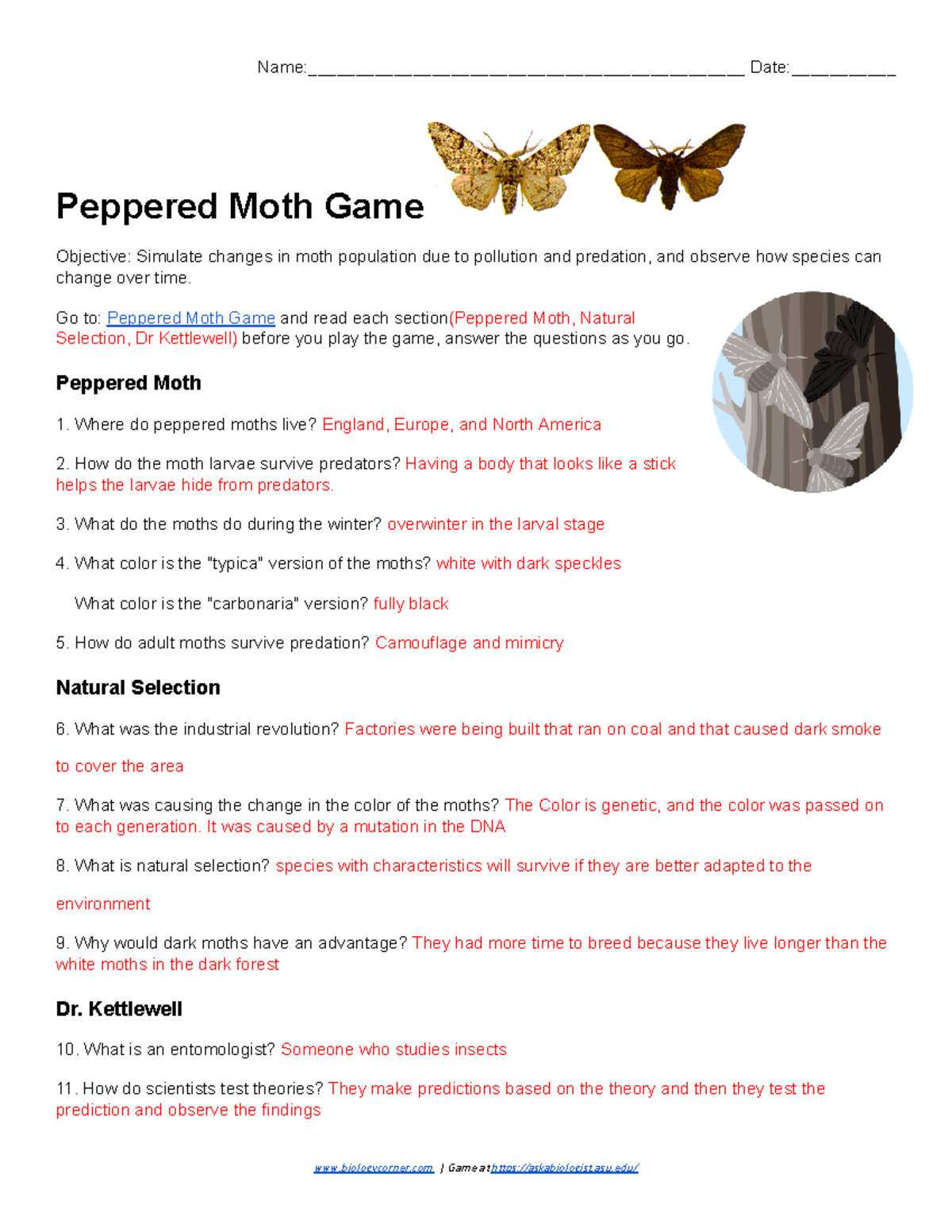 Peppered Moths Simulation Ask A Biologist Worksheets Library