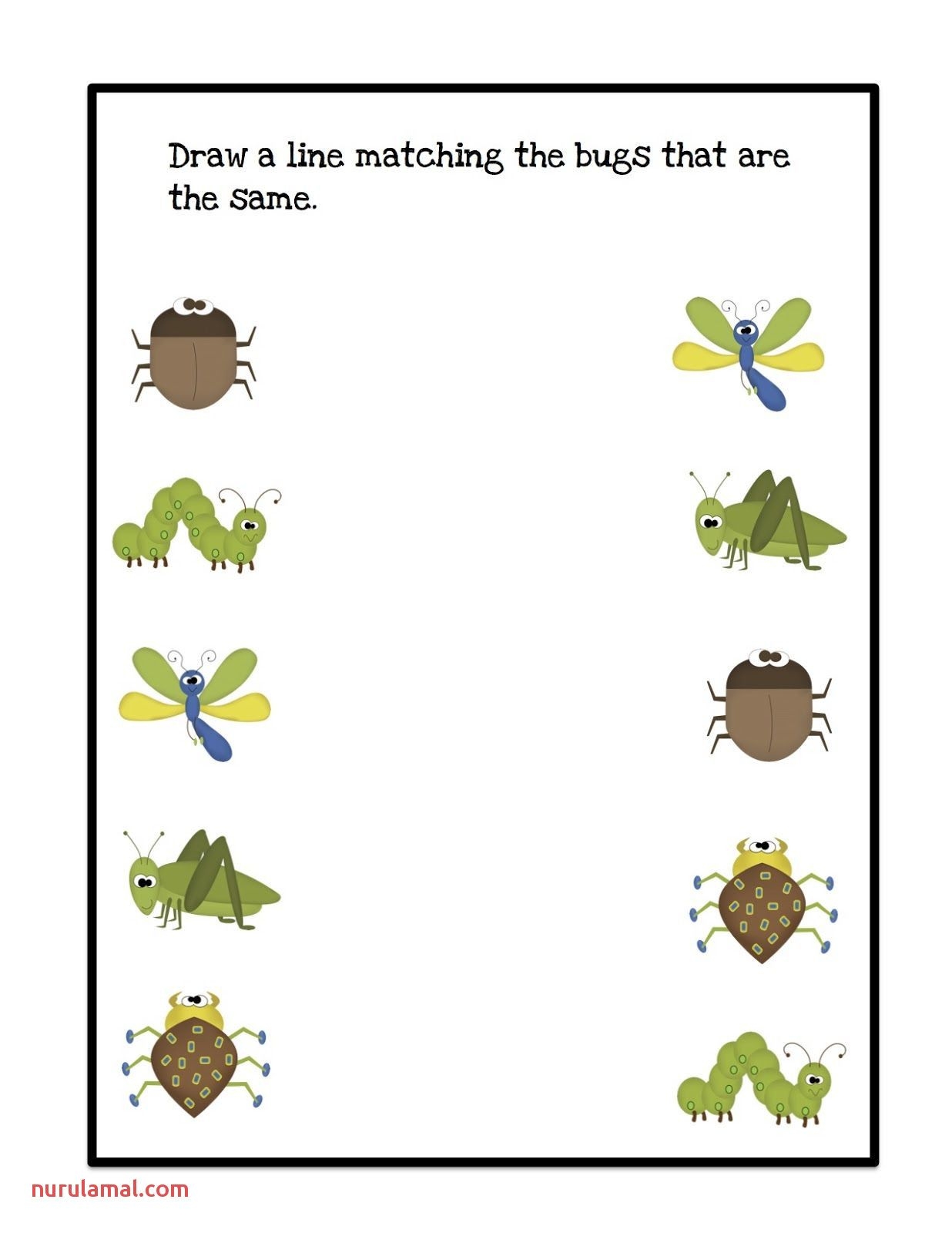 Preschool Bug And Insect Worksheets Lernwerkstatt 