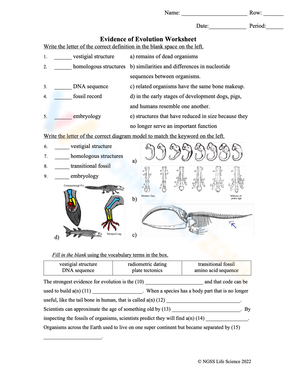 evidence for evolution worksheet answers