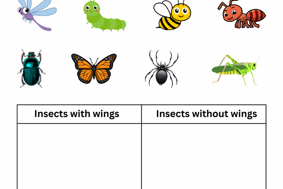 Printable Insects Worksheet For Kindergarten Identify And Matching For Grade 1