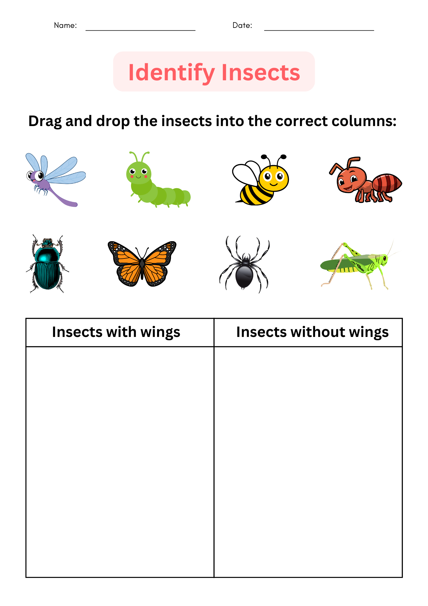 Printable Insects Worksheet For Kindergarten Identify And Matching For Grade 1