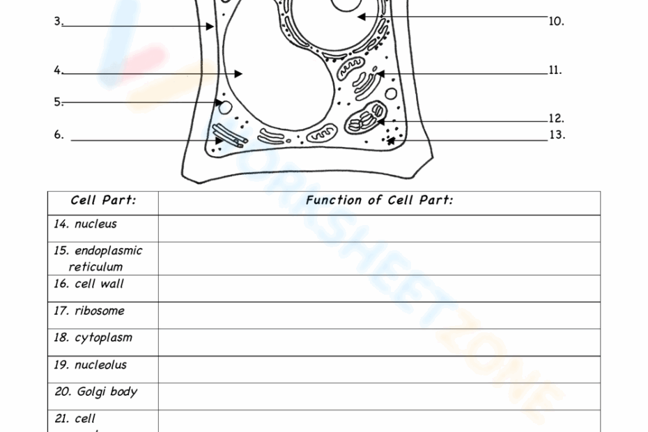 Printable Plant Cells Worksheets