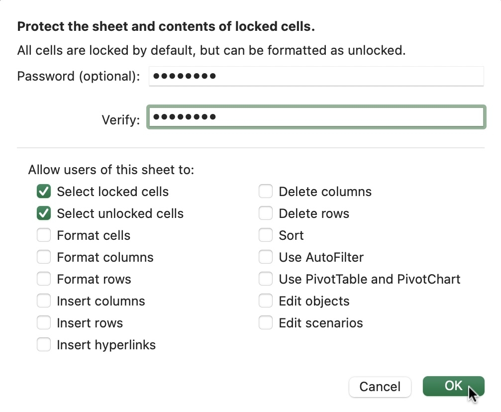 protecting excel worksheet