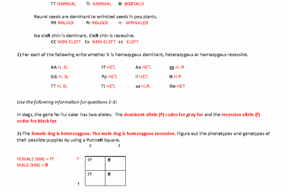 Punnett Square Practice Worksheet Name KEY 171e0l0 2 Punnett Square Practice Worksheet Name 1 Studocu