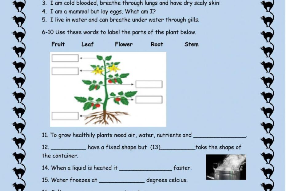 Science Grade 4 Activity Live Worksheets Worksheets Library
