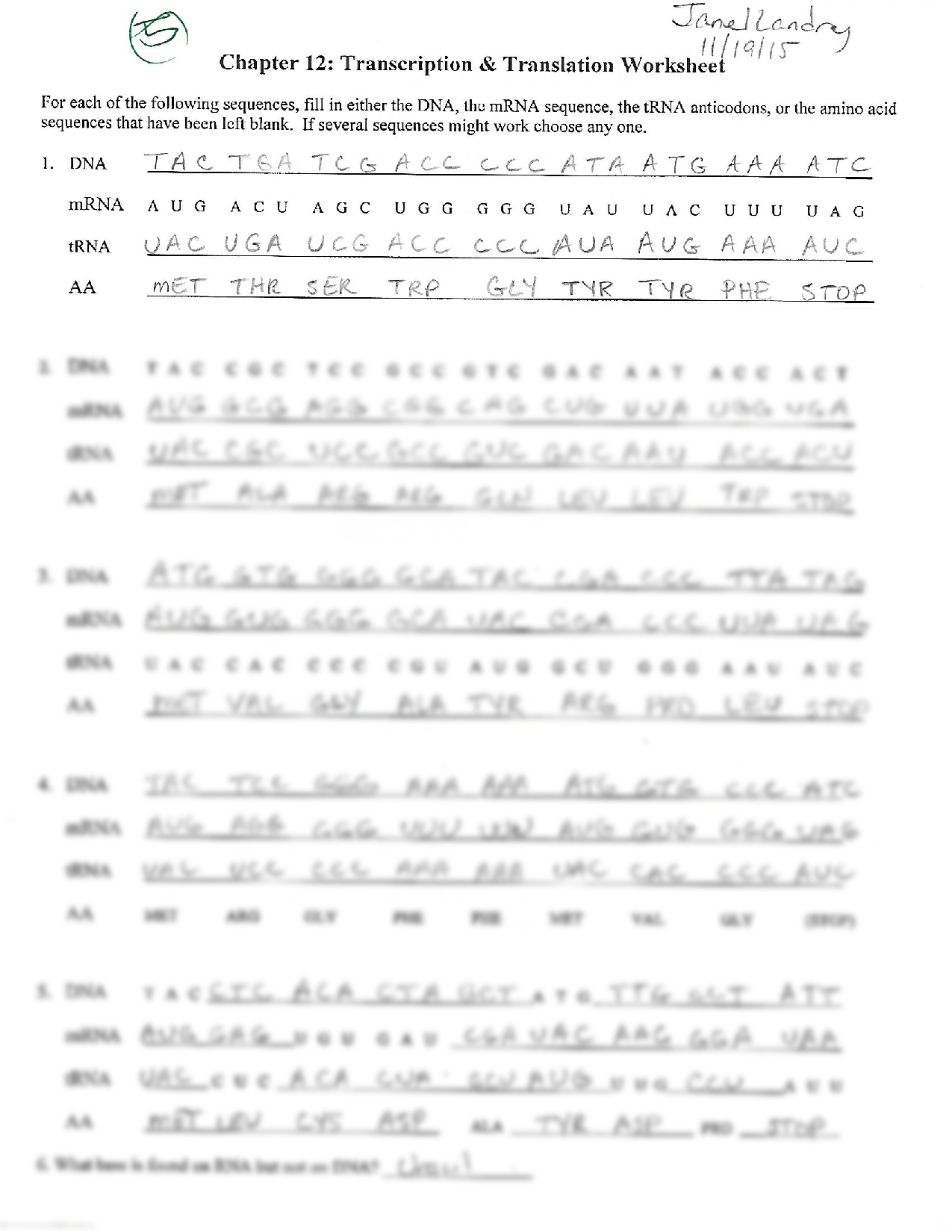SOLUTION Biology Transcription U0026 Translation Worksheet 