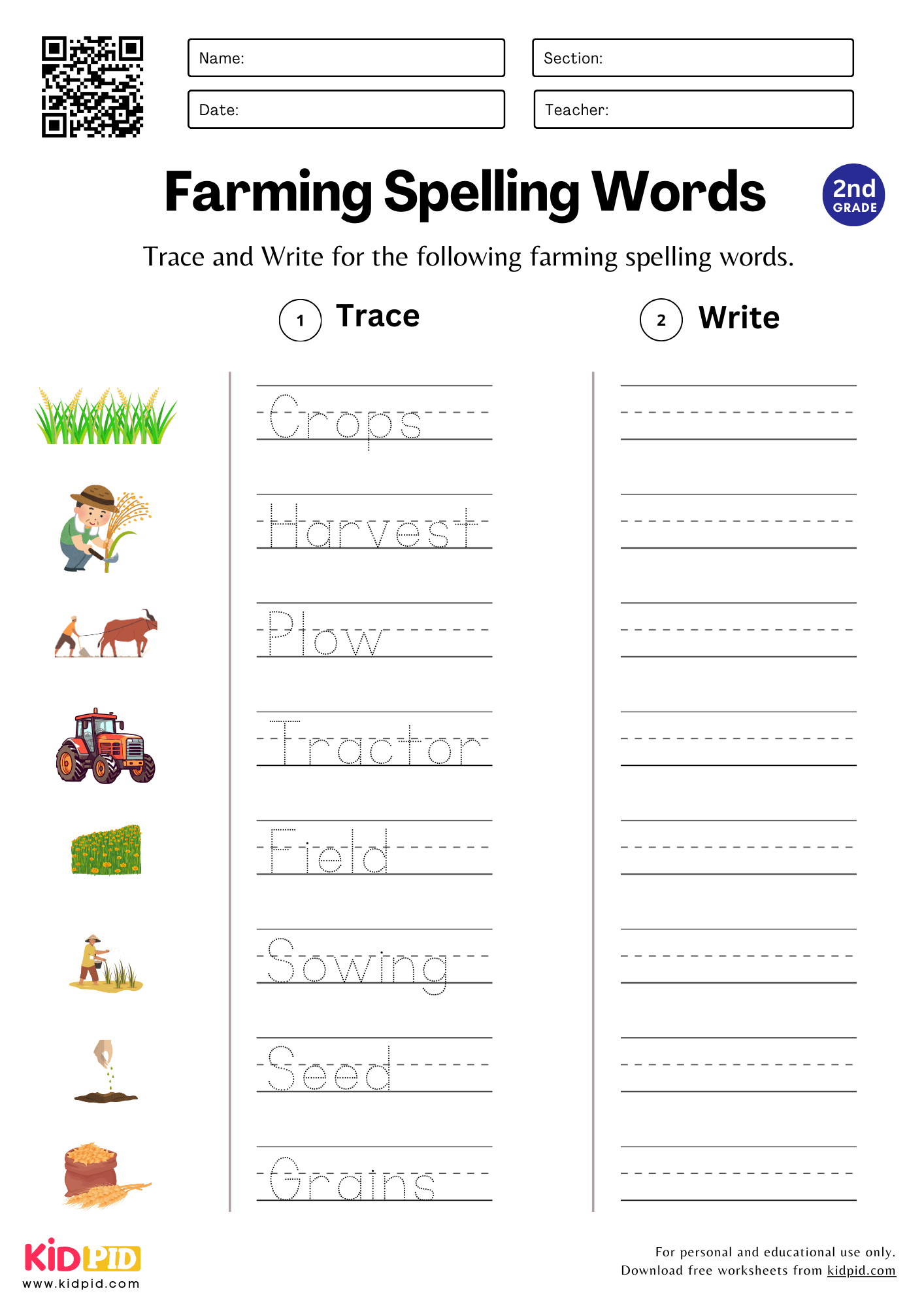 spelling worksheets for 2nd graders