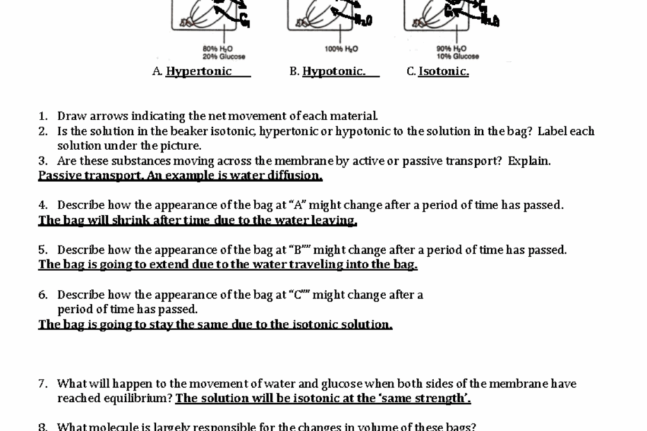 Transport Across The Cell Membrane Worksheet Student Copy 3 Transport Across The Cell Membrane Studocu