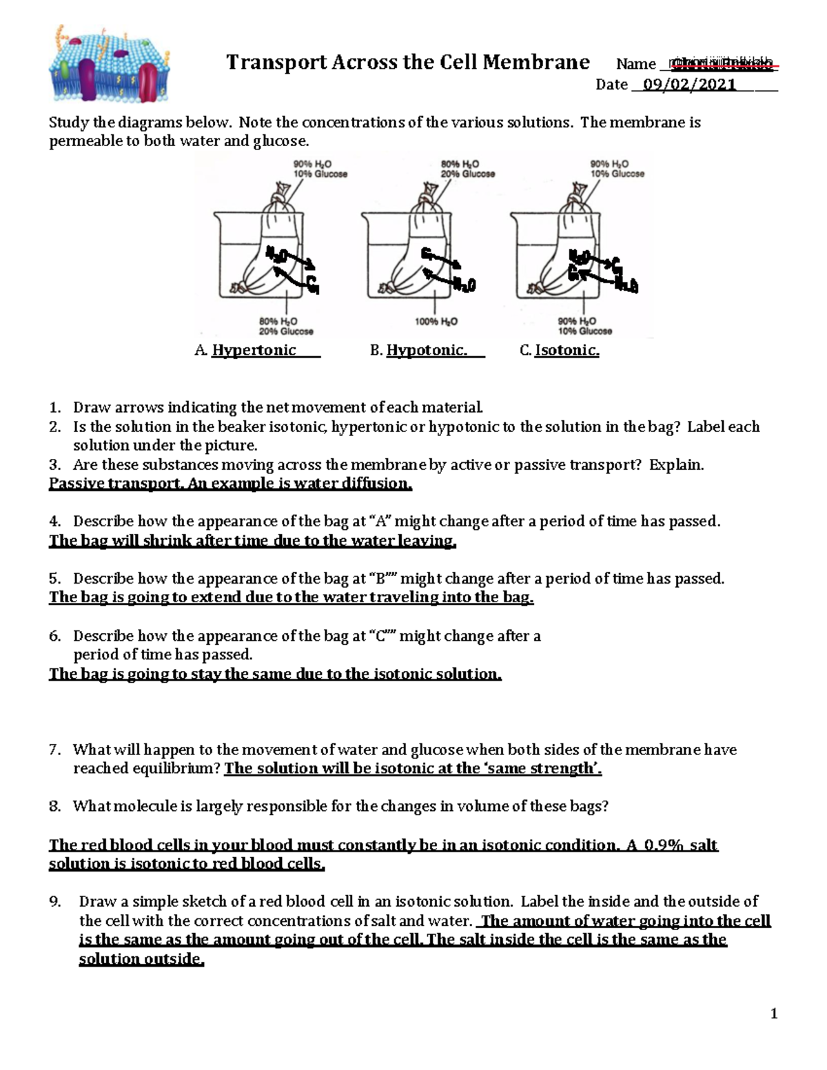 Transport Across The Cell Membrane Worksheet Student Copy 3 Transport Across The Cell Membrane Studocu