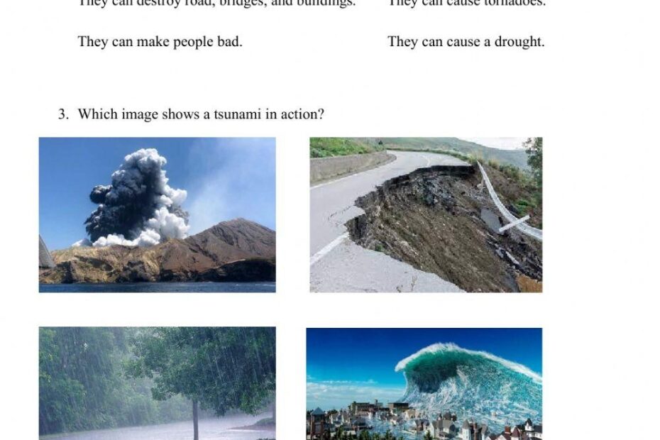 Tsunami And Storm Worksheet Live Worksheets Worksheets Library