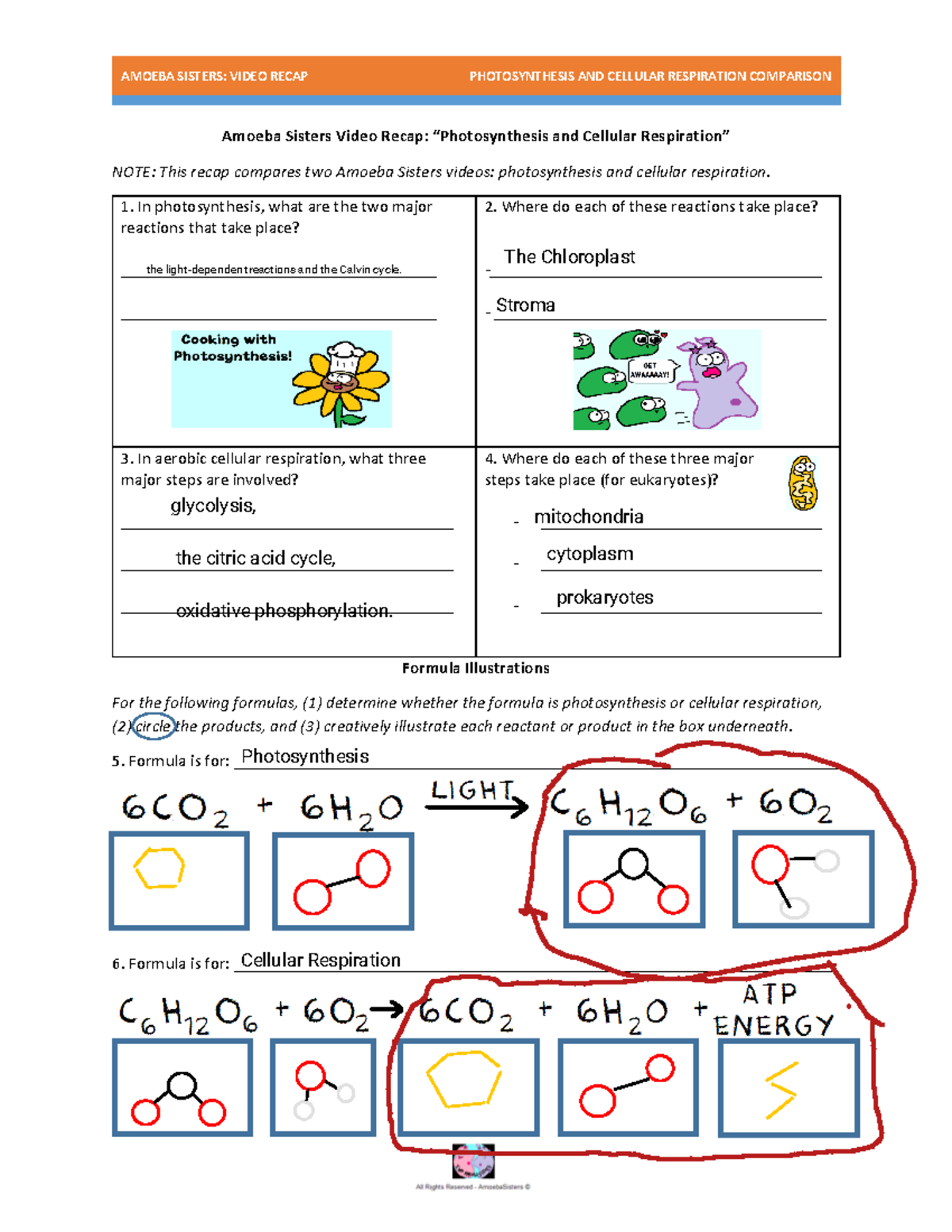 Video Recap Comparing Photosynthesis And Cellular Respiration By 